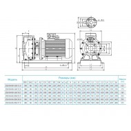 Консольно-моноблочный насос CNP ZS 100-80-200/37 SSC